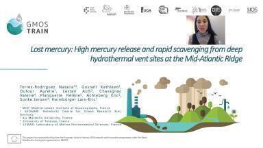 Hydrothermal vents, are they the most important natural source of mercury to the Ocean? A study from the Mid-Atlantic Ridge